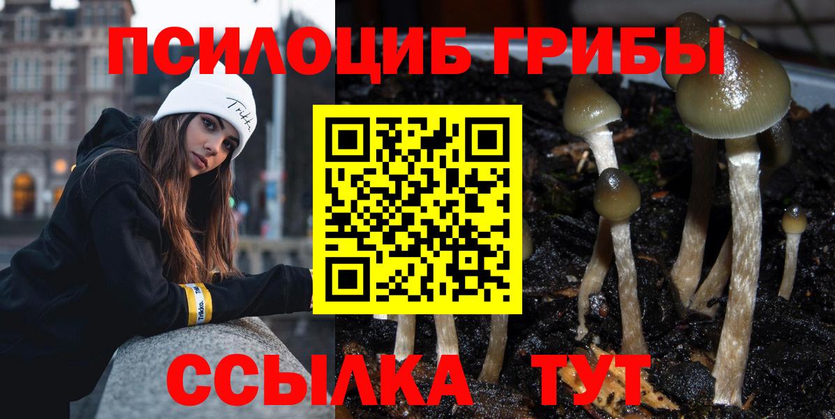 Клин  Псилоцибиновые грибы прущие грибы  Вход с VPN  Псилоцибиновые грибы Psilocybe 